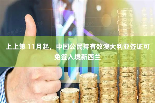 上上策 11月起，中国公民持有效澳大利亚签证可免签入境新西兰