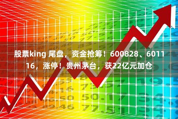 股票king 尾盘，资金抢筹！600828、601116，涨停！贵州茅台，获22亿元加仓