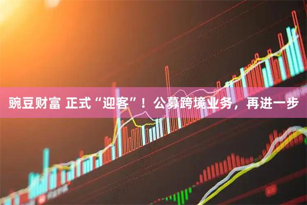 豌豆财富 正式“迎客”！公募跨境业务，再进一步